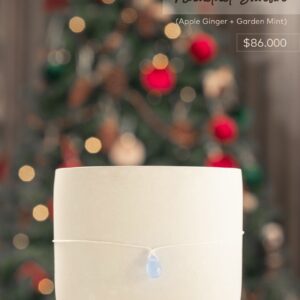 Vela Navidad Silvestre